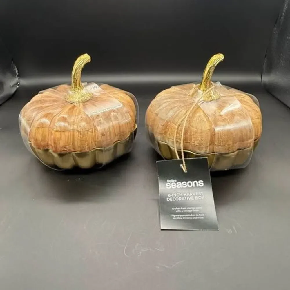 Fall / pumpkin decor - mango wood pumpkin